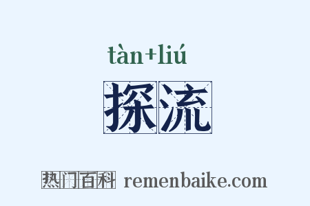 探流是什么意思的图片